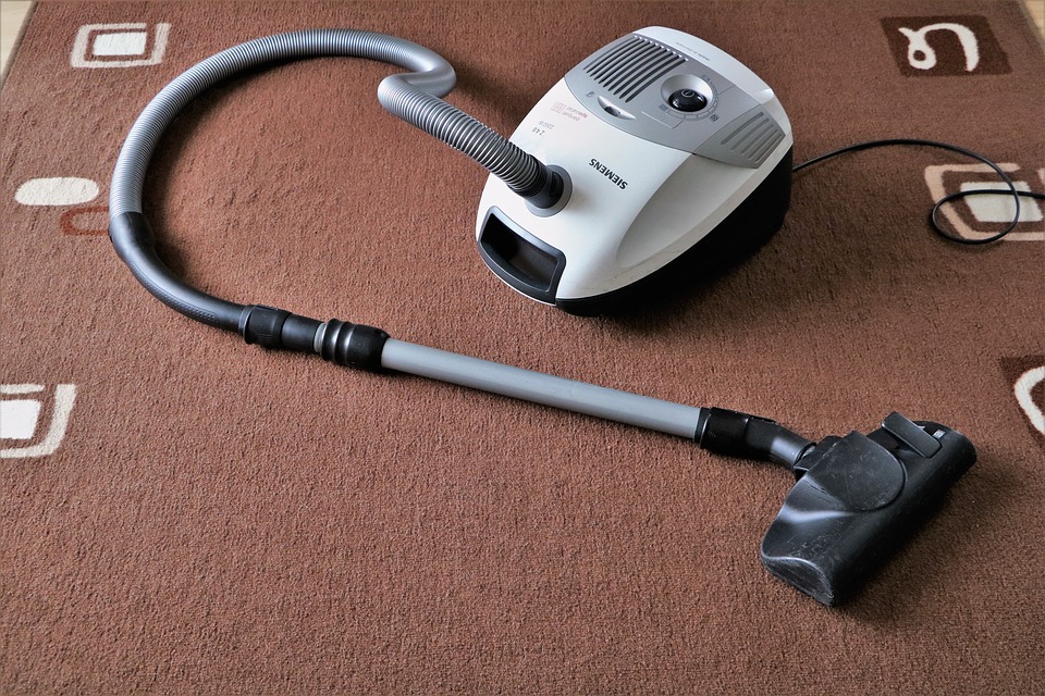 DIY Vs Professional Carpet Cleaning: Which one should you pick?